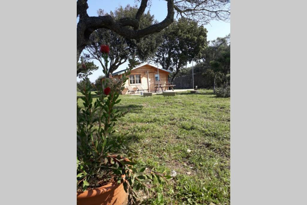 Chalet Climatise Santa Maria A Bonifacio Бонифачо Экстерьер фото